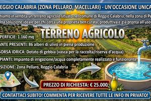 Terreno Reggio Calabria(ZONA PELLARO, MACELLARI)
