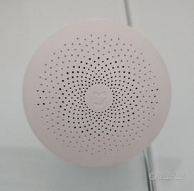 2x Xiaomy Gateway V1