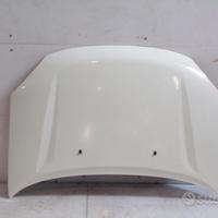 Cofano anteriore DR5 2012