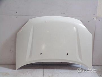 Cofano anteriore DR5 2012