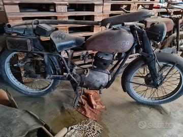 Gilera Altro modello - 1951