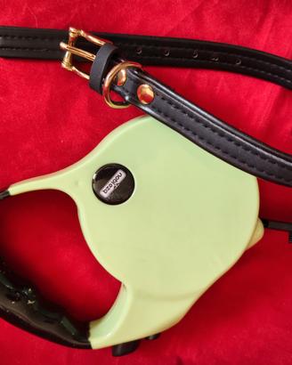 guinzaglio retrattile 5 m e collarino in pelle