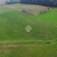 TER. AGRICOLO A CAVRIANA