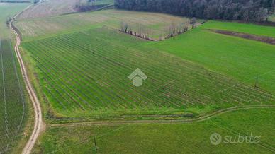 TER. AGRICOLO A CAVRIANA