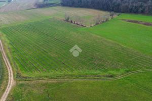 TER. AGRICOLO A CAVRIANA