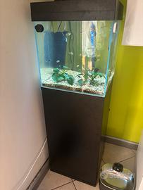 Acquario Aqupet 64l con armadio