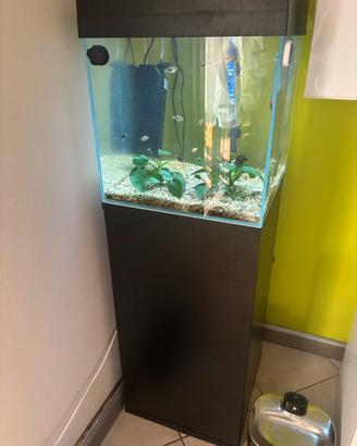 Acquario Aqupet 64l con armadio
