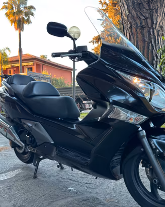 Sw t 600 (silver wing)