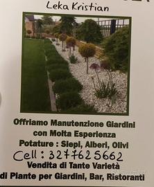 Manutenzione giardini con molta esperienza