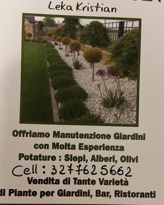 Manutenzione giardini con molta esperienza