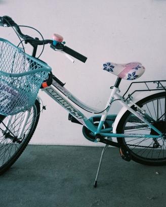 Bicicletta raggio 24