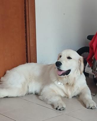 Subito vende