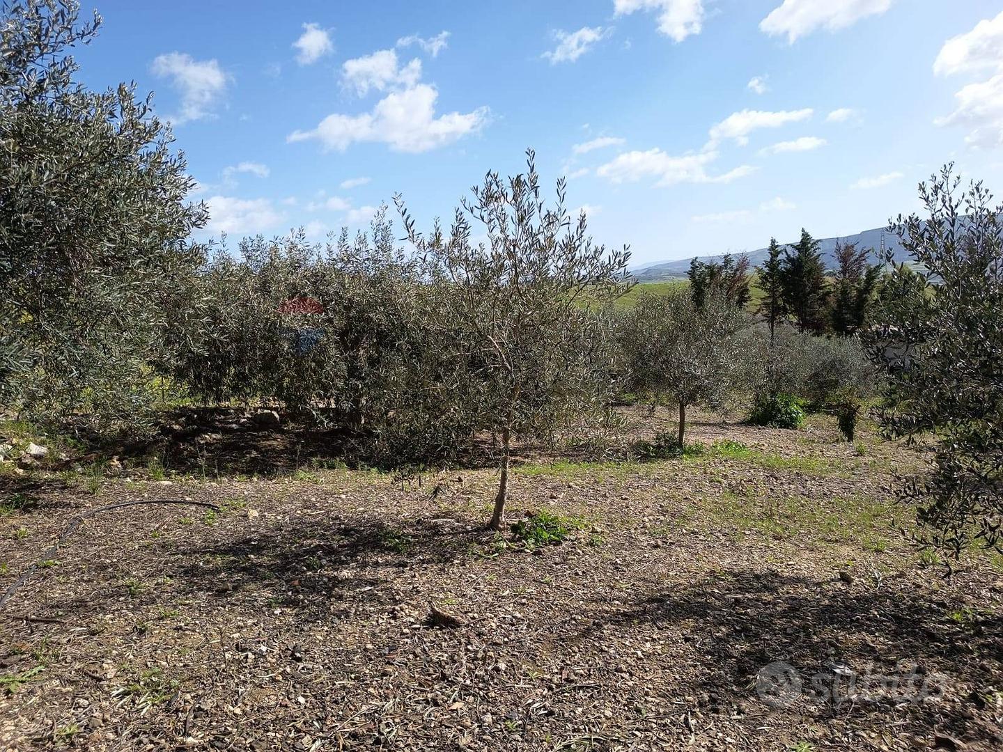 House in Mineo, Catania - Vista 5
