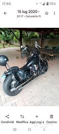 Kawasaki VN 900 custom