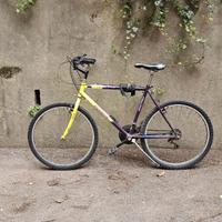 Bici uomo da città