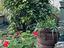 Immagine 12
