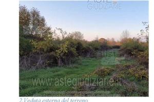 Terreno Agricolo Val di Nizza [A4356440]