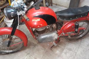 bianchi mendola gt 2t  leggete