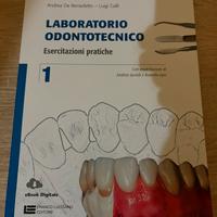 Laboratorio odontotecnico 1