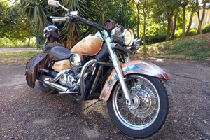 Honda Shadow 750 Anno 2004