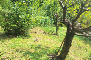 Terreno agricolo como