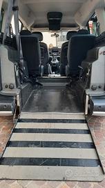 Auto transporto disabile