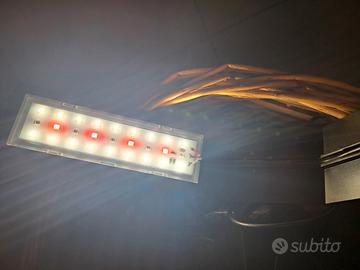 Luce per piccolo acquario 