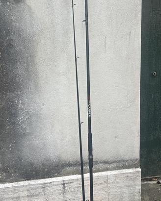 canne carpfishing  CARPER