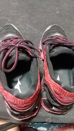 Mizuno wave prophecy 5