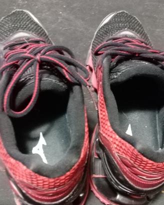 Mizuno wave prophecy 5