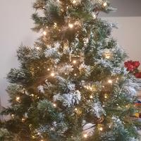 Albero di Natale con luci