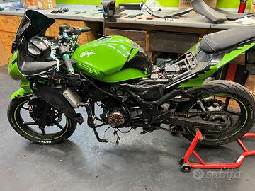 Ricambi ninja 250r