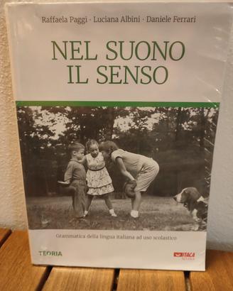 Nel Suono Il Senso grammatica italiana ad uso 