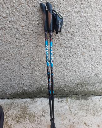 Bastoncini nordic walking Fizan