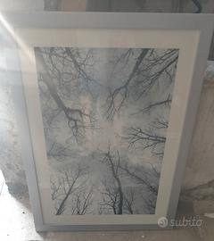 quadro con cornice 