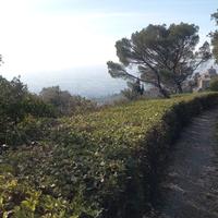 Giardinaggio