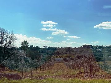 TERRENO FRONTE STRADA 1.5Ha - OSTUNI