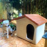 Cuccia cane euro 3 plast