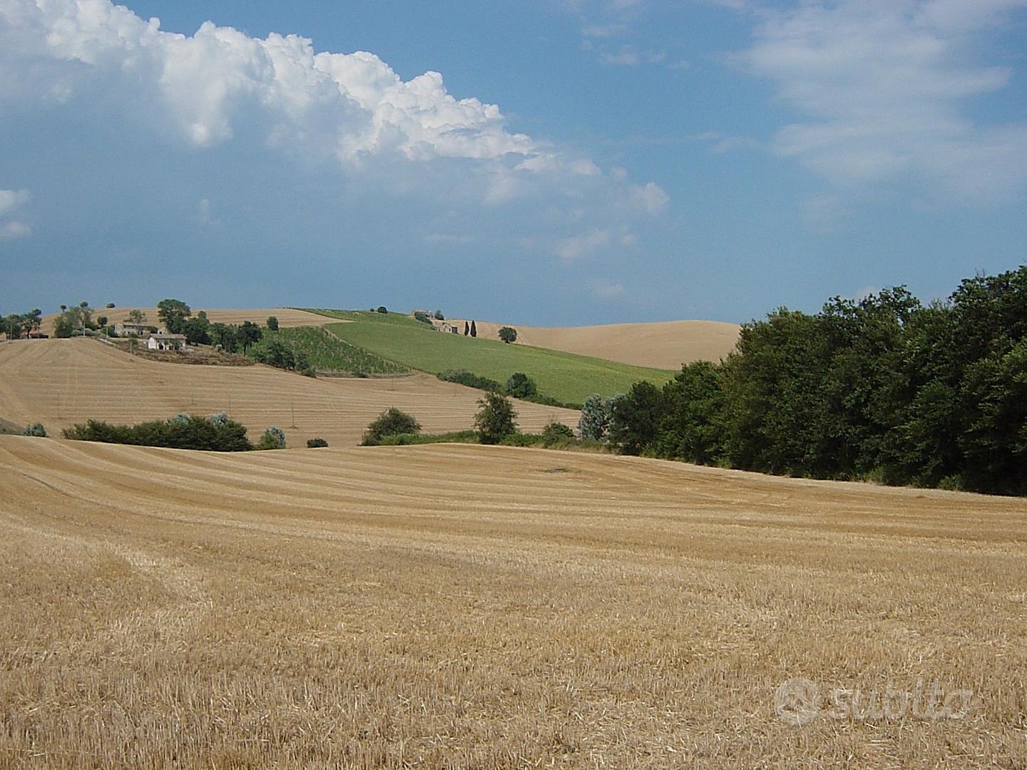 RUSTICO DI 440m² + ACCESSORIO E TERRENO DI 3000 m² - Vista 5
