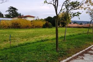 Terreno edificabile - Gradisca d'Isonzo -