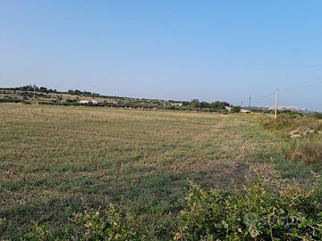 Terreno su fronte strada a mottola