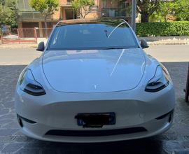 Long Range Dual Motor awd con Gancio Traino