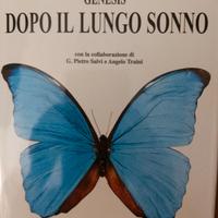 Dopo il lungo sonno