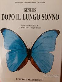 Dopo il lungo sonno