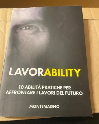 Libro Lavorability - Montemagno (come nuovo)