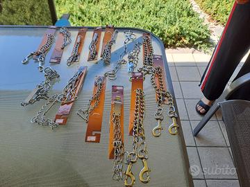 vari accessori per cani 