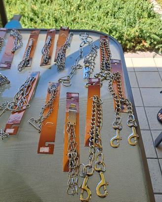 vari accessori per cani 