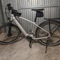 Trek Allant + 7