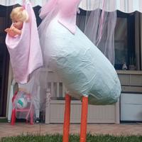 cicogna prima infanzia 