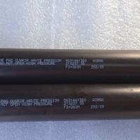 Ammortizzatori portellone 